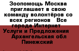 Зоопомощь.Москва приглашает в свою команду волонтёров со всех регионов - Все города Интернет » Услуги и Предложения   . Архангельская обл.,Пинежский 